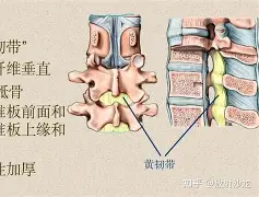 塔图姆“开门红”结果意外的简单介绍|BBIN电子官方平台